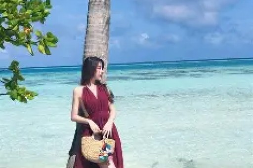 重磅爆料！美网红收10万美金私费背书斯泰尔藏匿款项遭严查打脸竞选黑幕